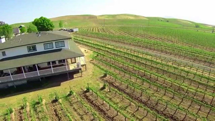 Ngắm vườn nho triệu USD của tỷ phú Hoàng Kiều ở Mỹ