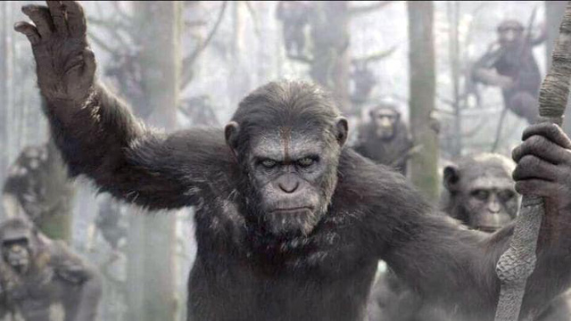 Những phim đáng xem nhất của điện ảnh thế giới năm 2017 (Bài II)