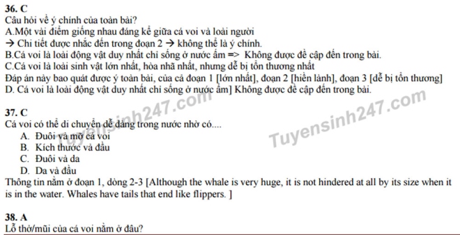 Gợi ý giải đề thi thử nghiệm THPT quốc gia 2017 môn tiếng Anh