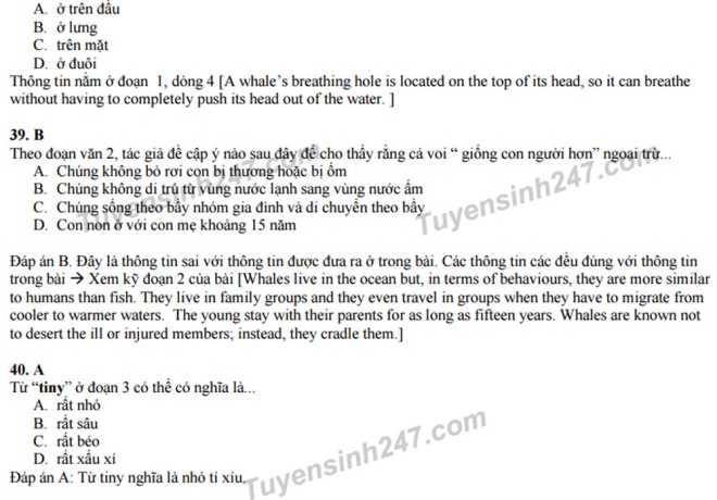 Gợi ý giải đề thi thử nghiệm THPT quốc gia 2017 môn tiếng Anh