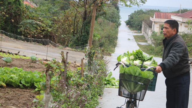 Tết về trên đảo tiền tiêu