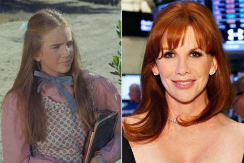 Tiểu thuyết dựa trên series sách của Laura Ingalls Wilder, trở thành một trong những phim truyền hình được yêu thích nhất khi phát sóng từ 1974 tới 1983. Tác phẩm kể câu chuyện cuộc sống của gia đình Ingalls  ở nông trại Minnesota cuối những năm 1800. Show truyền hình đã giành ba giải Emmy và chinh phục nhiều thế hệ khán giả toàn thế giới.