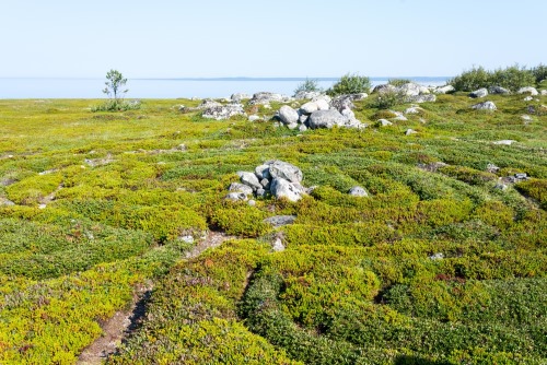 11 công trình cổ đại bí ẩn trên thế giới thách thức giới khoa học