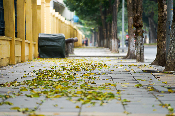 Những con phố có vỉa hè phong quang nhất Hà Nội
