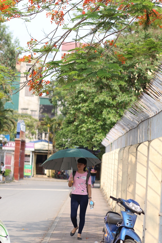 Người dân Thủ đô tranh thủ tản bộ...