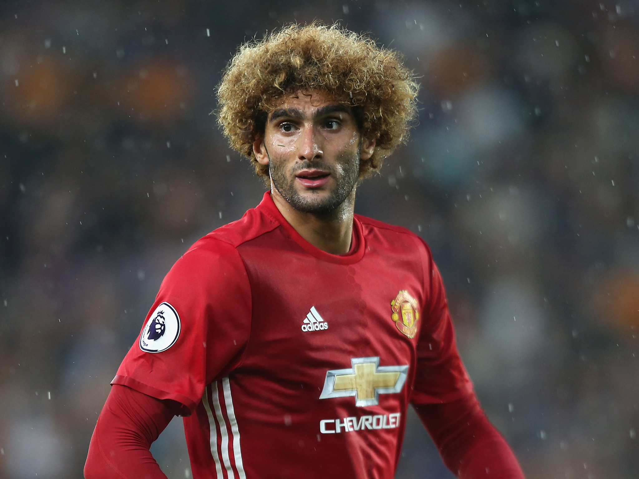 Kết quả hình ảnh cho fellaini