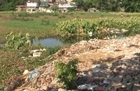 Hồ Linh Quang đang trở thành túi rác!