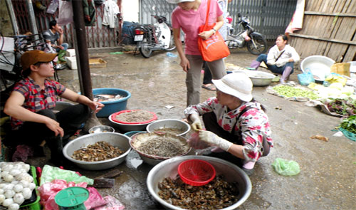 Các loại cua, tôm, cá, ếch, lươn... được đánh bắt ở đồng đang được coi là những thực phẩm sạch.