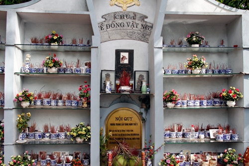 thú cưng, đại gia, chó mèo, khách sạn, lâu đài, biệt thự, nghĩa trang, tiền tỷ, thú-cưng, đại-gia, chó-mèo, khách-sạn, lâu-đài, biệt-thự, nghĩa-trang, tiền-tỷ,