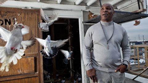 Sau bao thăng trầm trong cuộc sống, giờ đây Tyson đã hiểu rõ giá trị của hạnh phúc