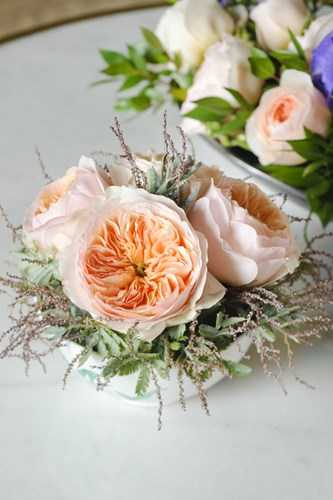 hoa-hong-dat-nhat-the-gioi-gia-300-ty-dong-co-gi-hot-hinh-10