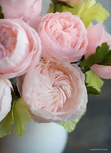 hoa-hong-dat-nhat-the-gioi-gia-300-ty-dong-co-gi-hot-hinh-7