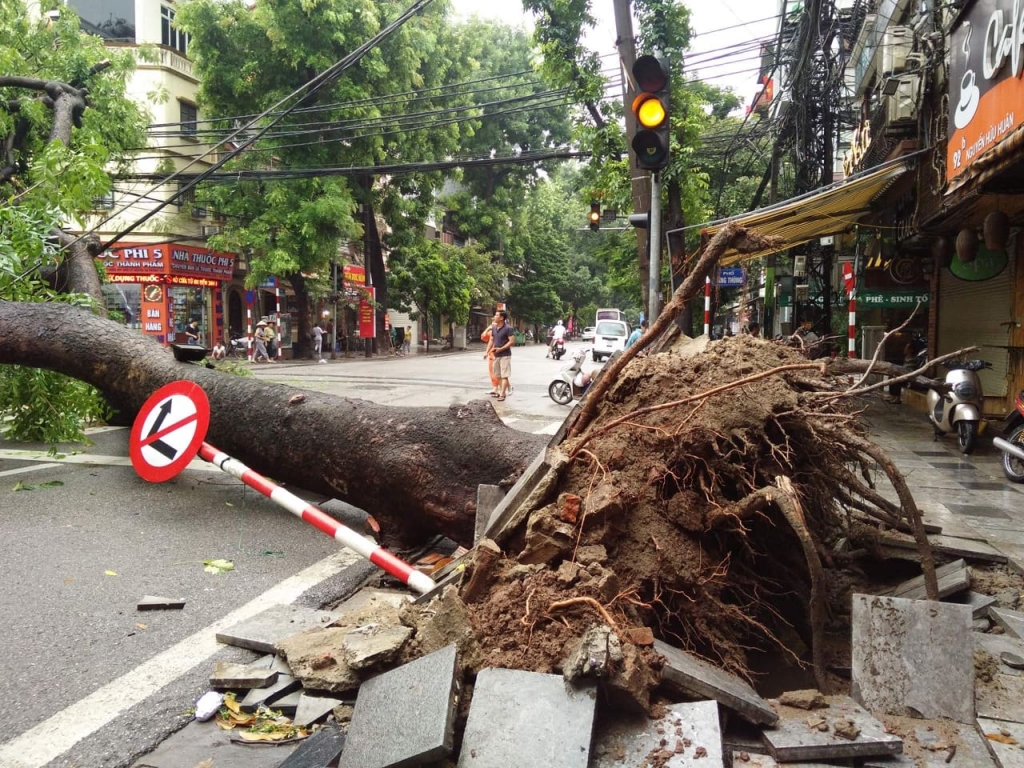 ha noi mua lon keo dai khien nhieu tuyen pho ngap ung cuc bo cay lon do ngang duong