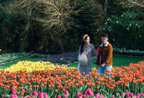 Du lịch Việt Nam cần “nguồn cung” nhiều hơn nữa để du khách quay trở lại