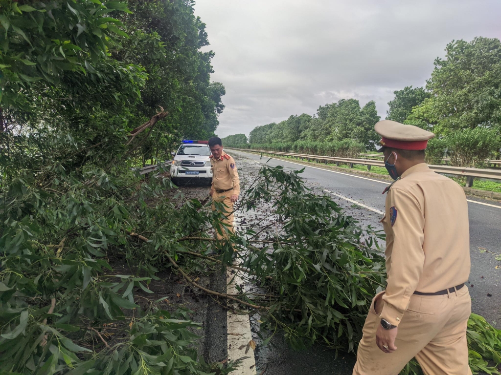 Cảnh sát giao thông xử lý cây đổ, thông đường cao tốc Pháp Vân – Cầu Giẽ - Ninh Bình