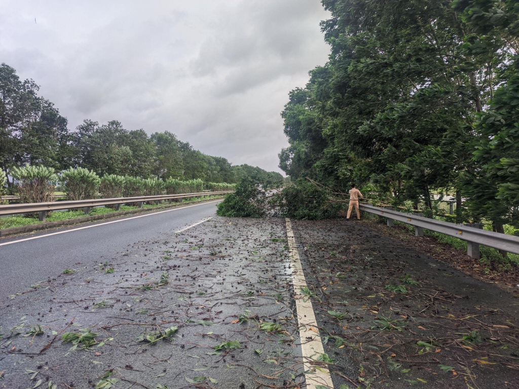 Cảnh sát giao thông xử lý cây đổ, thông đường cao tốc Pháp Vân – Cầu Giẽ - Ninh Bình