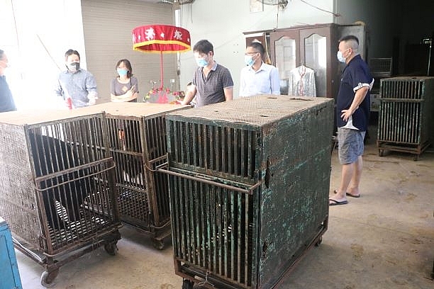 Tổ chức Động vật Châu Á cứu hộ 4 cá thể gấu tại Rạp xiếc Trung ương Hà Nội