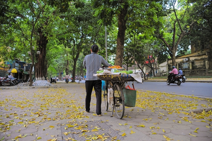 ha noi bang lang do chom thu