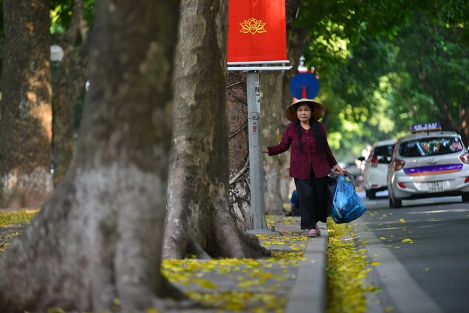 ha noi bang lang do chom thu