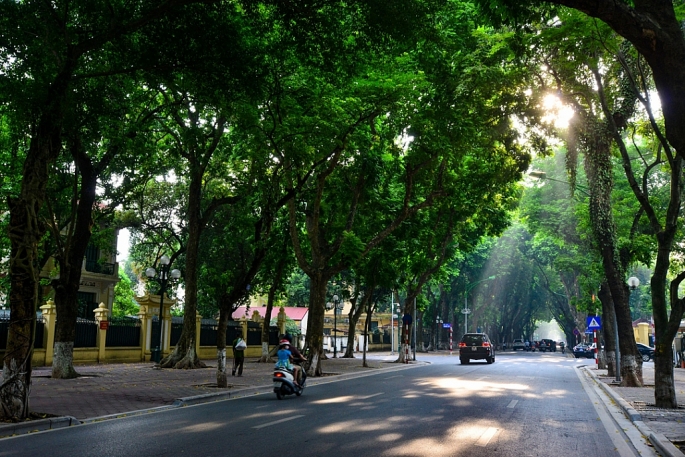 ha noi bang lang do chom thu