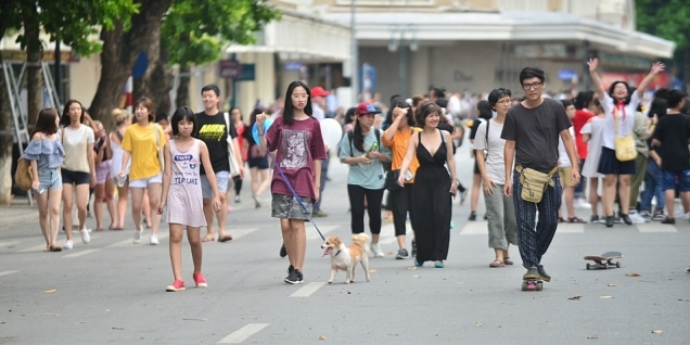 Sau thông tin cấm, thú cưng ít xuất hiện hơn trên phố đi bộ