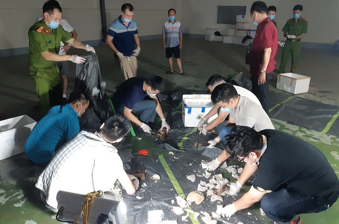 Bí mật đằng sau những chiếc xe chở dạ dày lợn gắn định vị