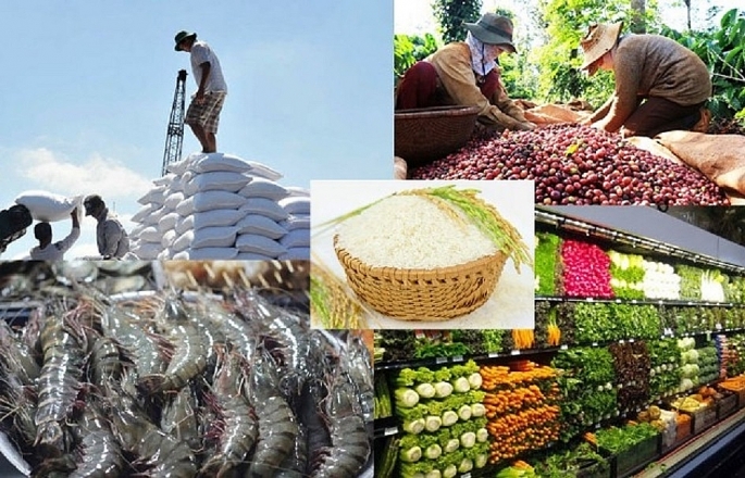 Theo nhận định từ Bộ NN&PTNT cho biết, năm 2022, các mặt hàng như: Cao su, trái cây, rau quả, gỗ và lâm sản, thủy sản… đều dự báo có sự tăng trưởng lớn trong xuất khẩu