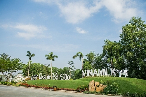 “Resort” bò sữa Vinamilk Tây Ninh – Ngôi nhà lý tưởng của những cô bò hạnh phúc resort bo sua vinamilk tay ninh ngoi nha ly tuong cua nhung co bo hanh phuc