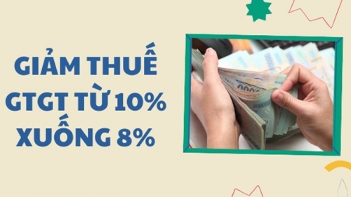 Mặt hàng nào thuộc danh mục được giảm thuế VAT?