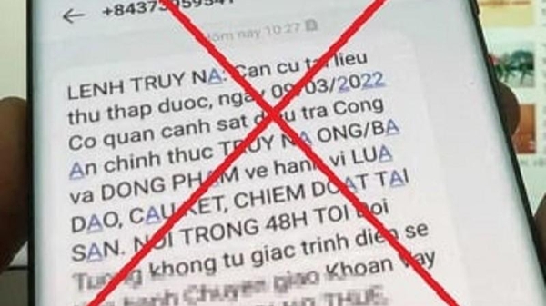 Kỳ 3: Hành vi mạo danh có thể bị truy cứu trách nhiệm hình sự?