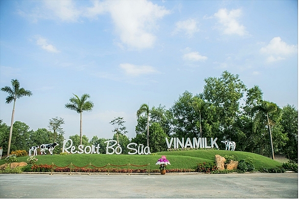 Check-in tại “Resort” bò sữa siêu đẹp của Vinamilk Tây Ninh check in tai resort bo sua sieu dep cua vinamilk tay ninh