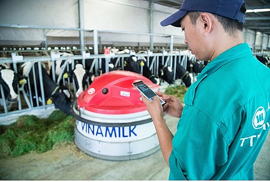 Check-in tại “Resort” bò sữa siêu đẹp của Vinamilk Tây Ninh check in tai resort bo sua sieu dep cua vinamilk tay ninh