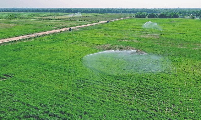 Check-in tại “Resort” bò sữa siêu đẹp của Vinamilk Tây Ninh check in tai resort bo sua sieu dep cua vinamilk tay ninh