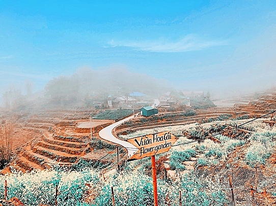 kham pha du lich sapa vung dat xinh dep trong 3 ngay 2 dem