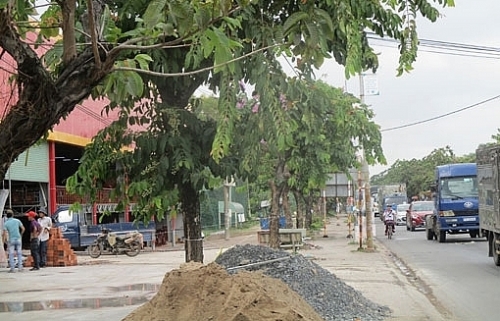 Xử phạt hành vi đổ vật liệu xây dựng vào gốc cây xanh trên đường phố