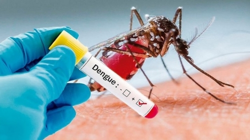 Hà Nội tăng cường các biện pháp phòng, chống sốt xuất huyết Dengue