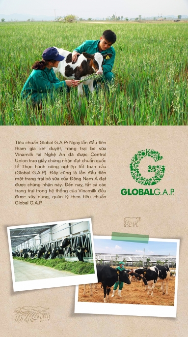Vinamilk: 15 năm xây hệ thống trang trại bò sữa với “bộ sưu tập” tiêu chuẩn quốc tế