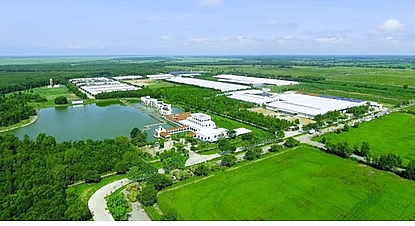 Tết tại “Resort” bò sữa Vinamilk có gì đặc biệt? tet tai resort bo sua vinamilk co gi dac biet