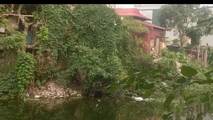 nao vet cai tao song to lich mot du an hop y dang long dan