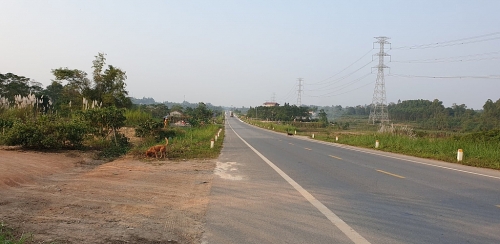 Phú Thọ: Đường vừa chạy qua, huyện đã muốn thu hồi đất nông nghiệp để "phân lô, bán nền"