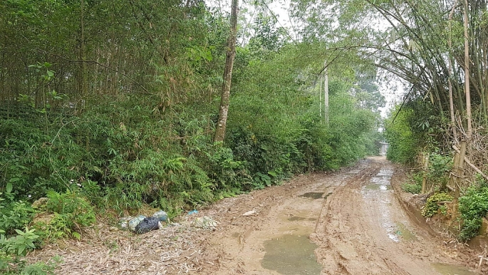 loi dung cai tao dat de khai thac khoang san trai phep