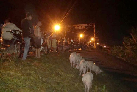 Thanh Hóa: Hàng ngàn ngôi nhà ngập trong biển nước thanh hoa hang ngan ngoi nha bi ngap