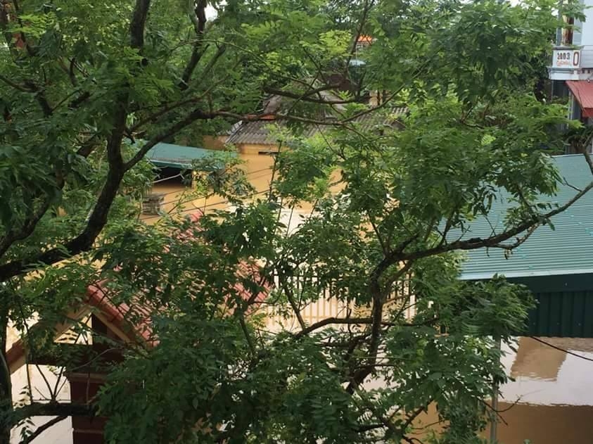 Thanh Hóa: Hàng ngàn ngôi nhà ngập trong biển nước thanh hoa hang ngan ngoi nha bi ngap