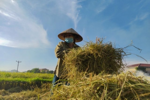 Hà Nội, những nỗ lực thực hiện xây dựng “Thành phố không khói rơm rạ”