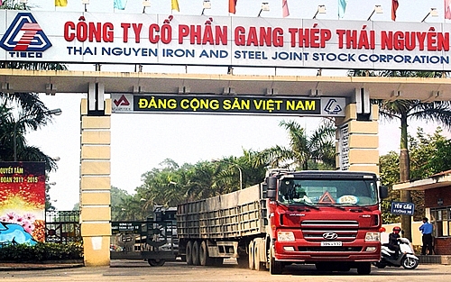 sai pham tai du an gang thep thai nguyen chuyen ket luan thanh tra den uy ban kiem tra trung uong