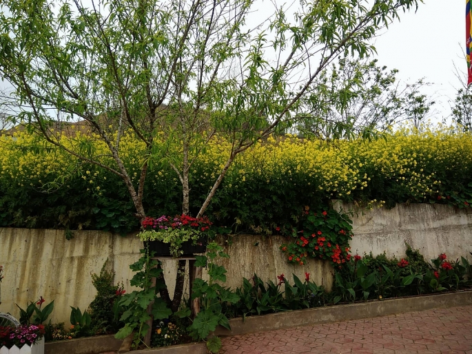 nhung diem check in dep la khi toi sapa