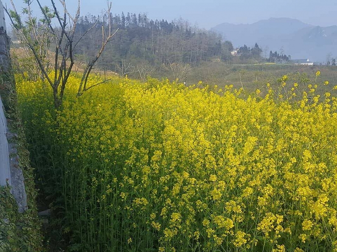 nhung diem check in dep la khi toi sapa