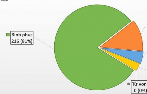 Hơn 5 ngày không ghi nhận ca nhiễm, 81% bệnh nhân Covid-19 khỏi bệnh