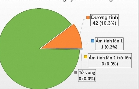 Việt Nam đã có 408 trường hợp nhiễm Covid-19