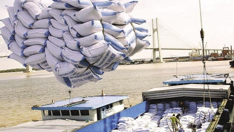Những quy định mới về chứng nhận chủng loại gạo thơm xuất khẩu sang EU